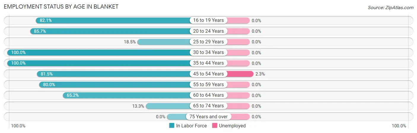 Employment Status by Age in Blanket