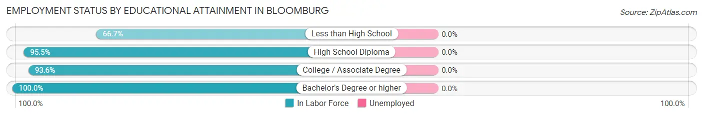 Employment Status by Educational Attainment in Bloomburg