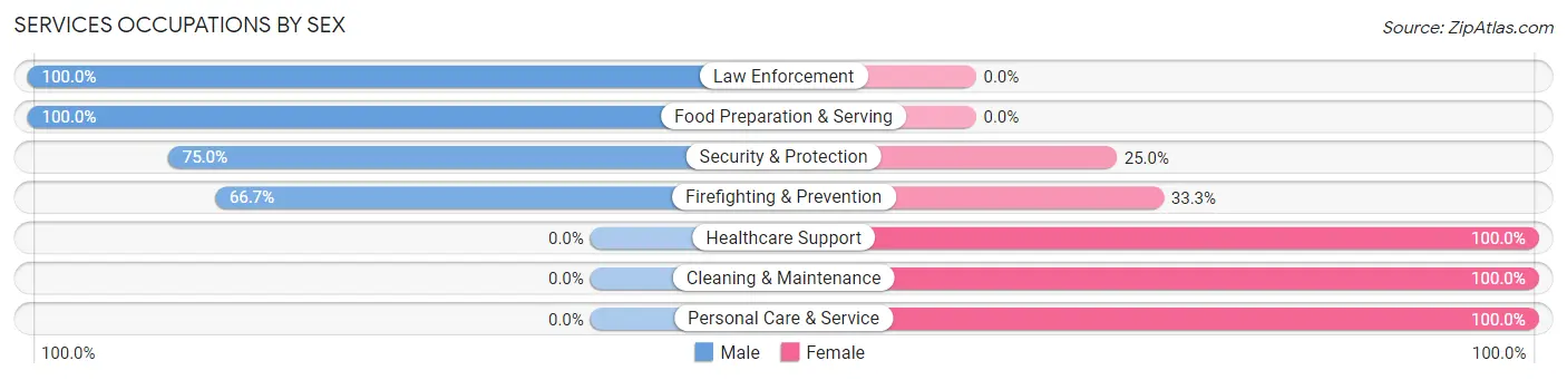 Services Occupations by Sex in Bloomburg