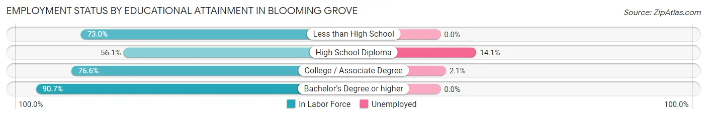 Employment Status by Educational Attainment in Blooming Grove