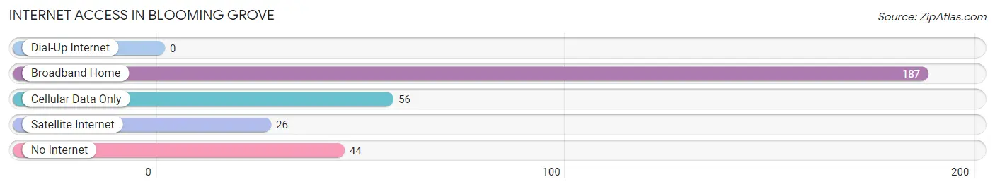 Internet Access in Blooming Grove