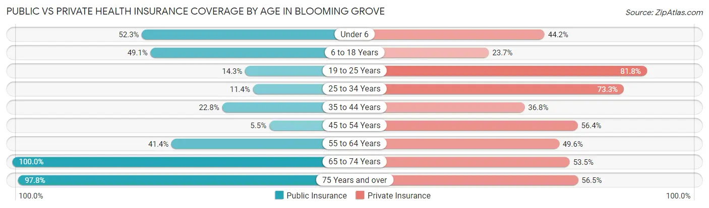 Public vs Private Health Insurance Coverage by Age in Blooming Grove