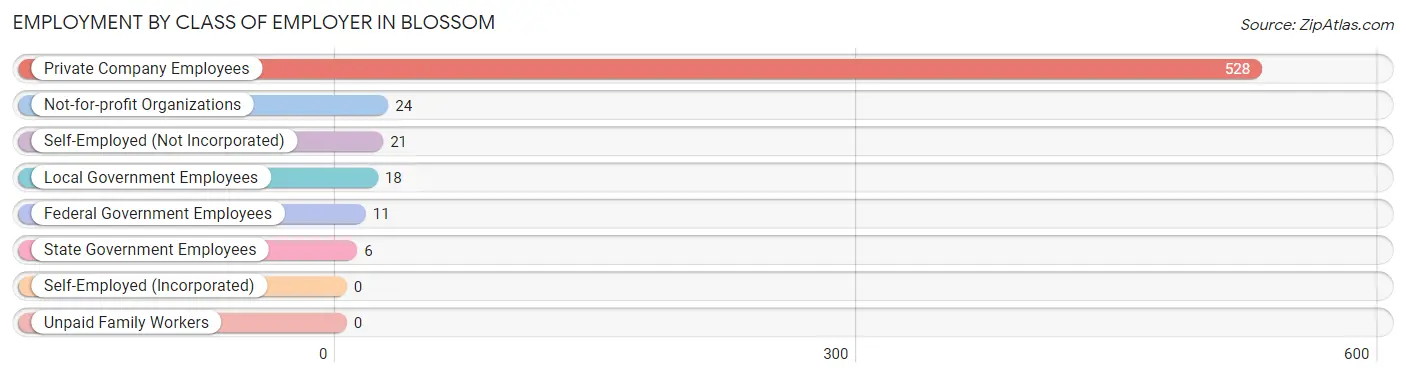 Employment by Class of Employer in Blossom