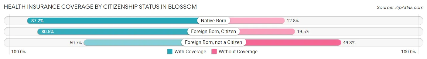 Health Insurance Coverage by Citizenship Status in Blossom