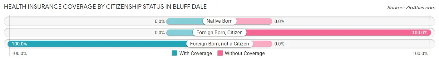 Health Insurance Coverage by Citizenship Status in Bluff Dale