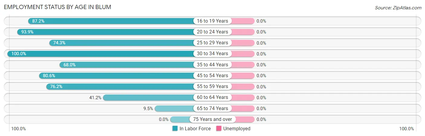 Employment Status by Age in Blum