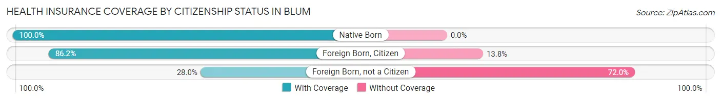 Health Insurance Coverage by Citizenship Status in Blum