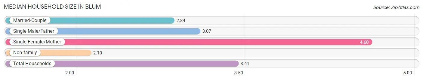 Median Household Size in Blum