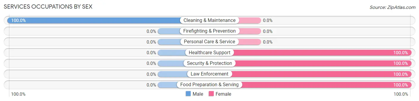 Services Occupations by Sex in Blum