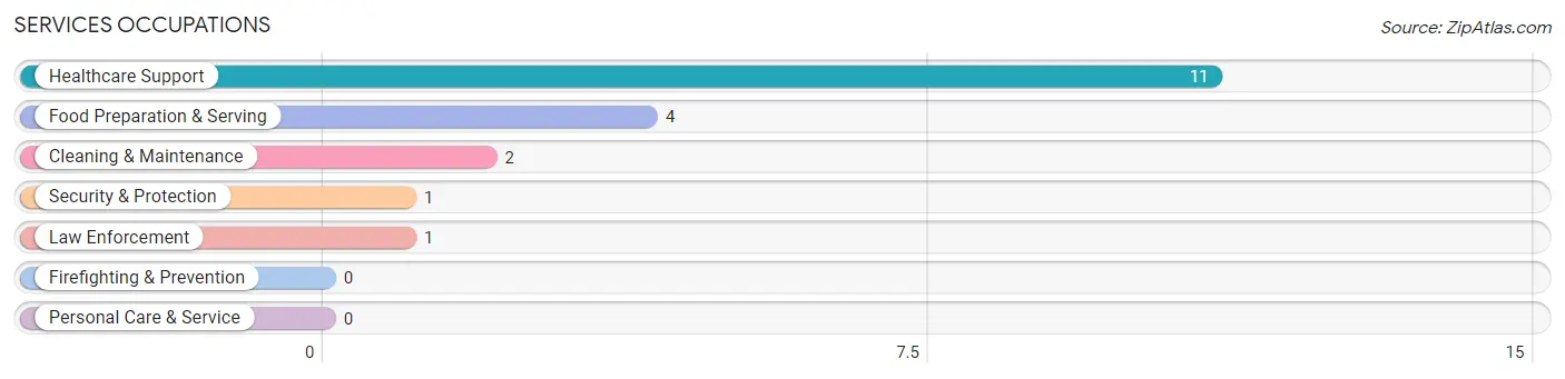 Services Occupations in Blum