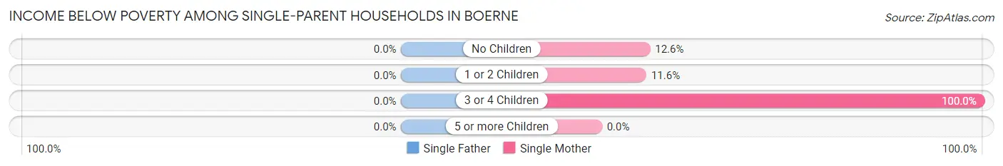 Income Below Poverty Among Single-Parent Households in Boerne