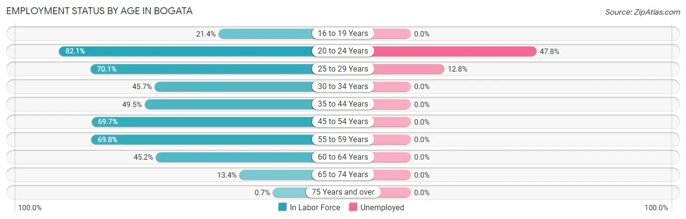 Employment Status by Age in Bogata