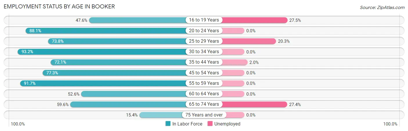 Employment Status by Age in Booker
