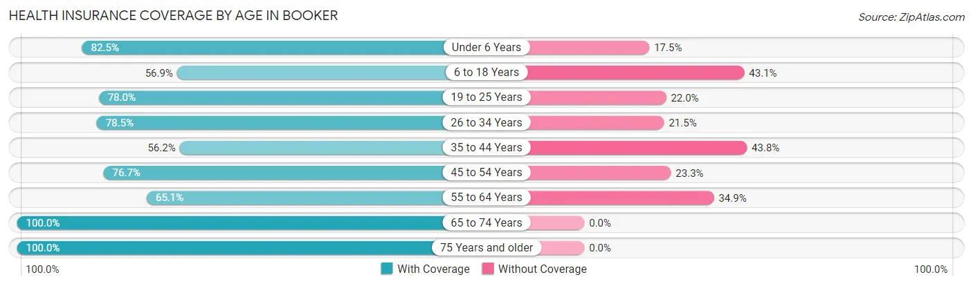 Health Insurance Coverage by Age in Booker