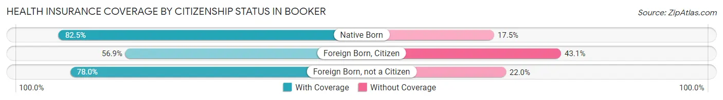 Health Insurance Coverage by Citizenship Status in Booker