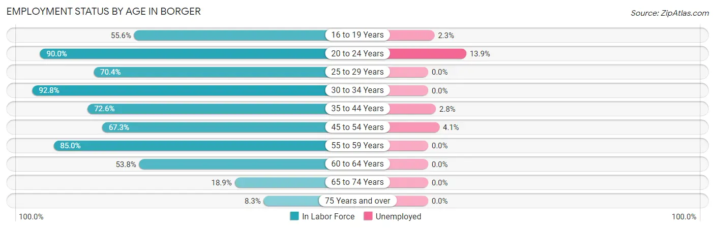 Employment Status by Age in Borger