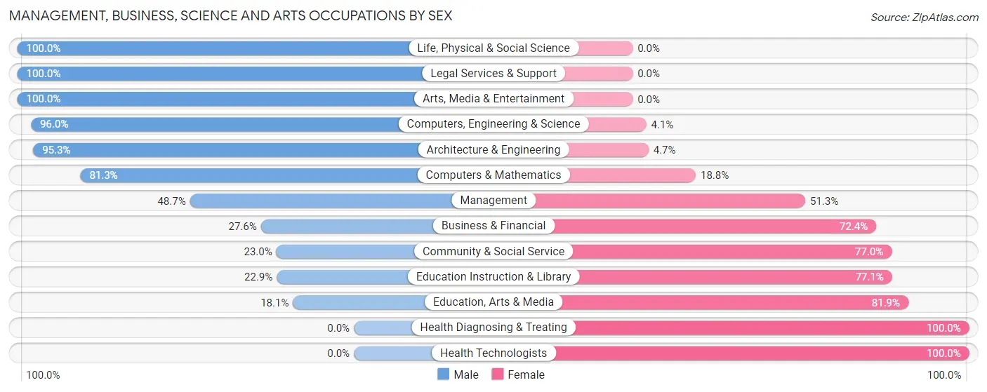 Management, Business, Science and Arts Occupations by Sex in Borger