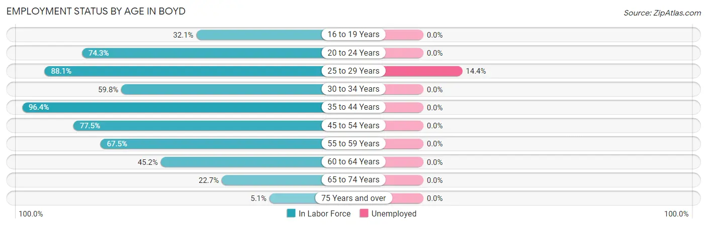 Employment Status by Age in Boyd