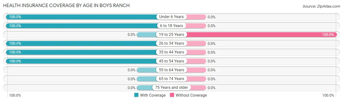Health Insurance Coverage by Age in Boys Ranch