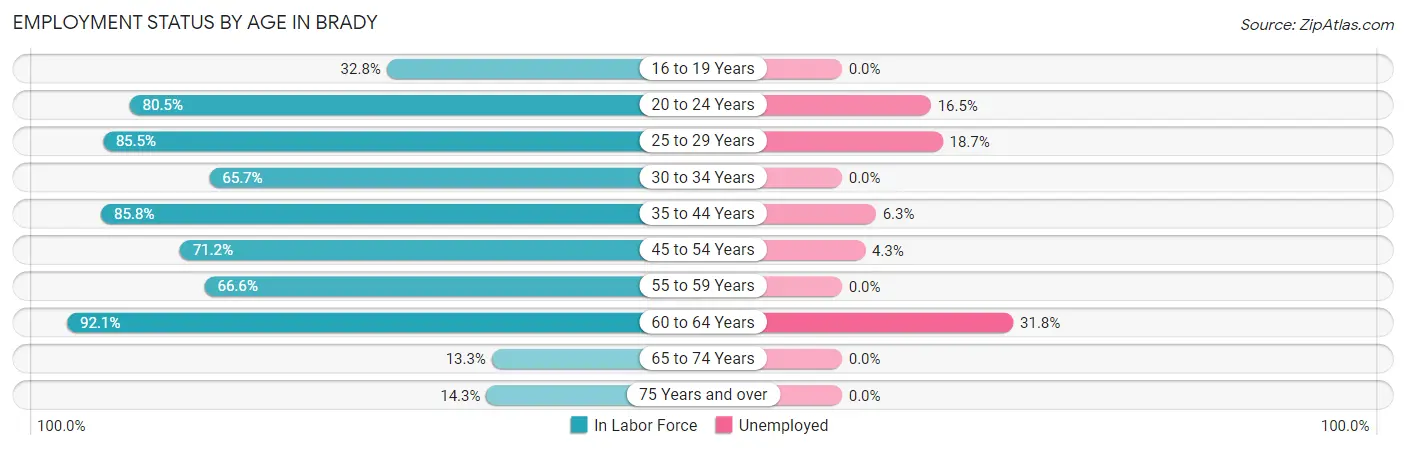 Employment Status by Age in Brady