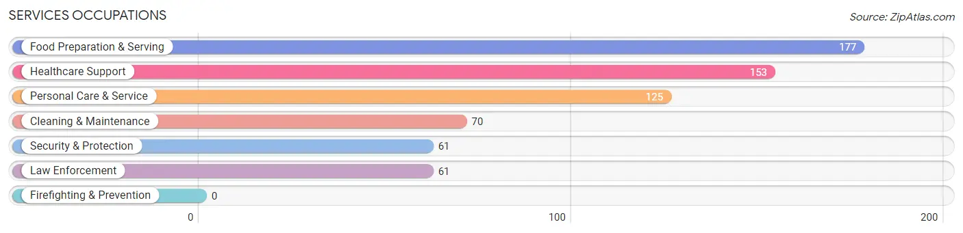 Services Occupations in Brady