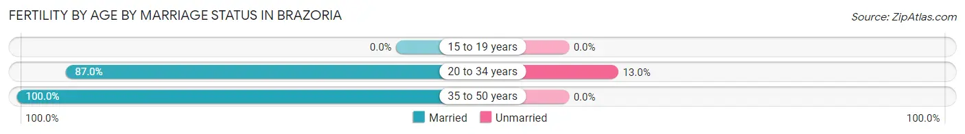 Female Fertility by Age by Marriage Status in Brazoria