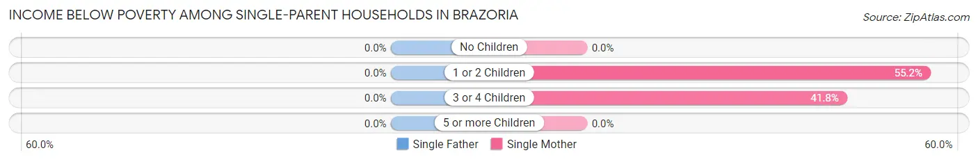 Income Below Poverty Among Single-Parent Households in Brazoria