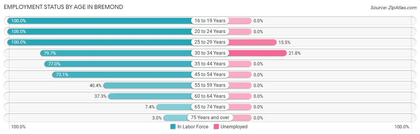 Employment Status by Age in Bremond