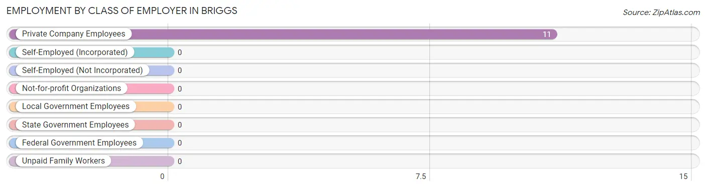 Employment by Class of Employer in Briggs