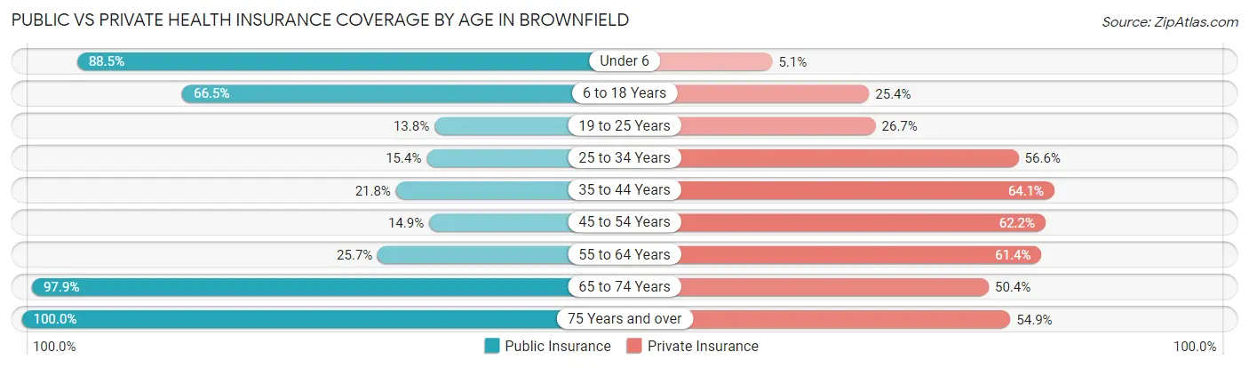 Public vs Private Health Insurance Coverage by Age in Brownfield