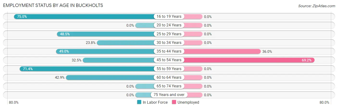 Employment Status by Age in Buckholts