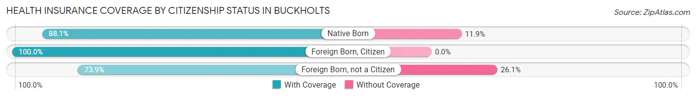 Health Insurance Coverage by Citizenship Status in Buckholts