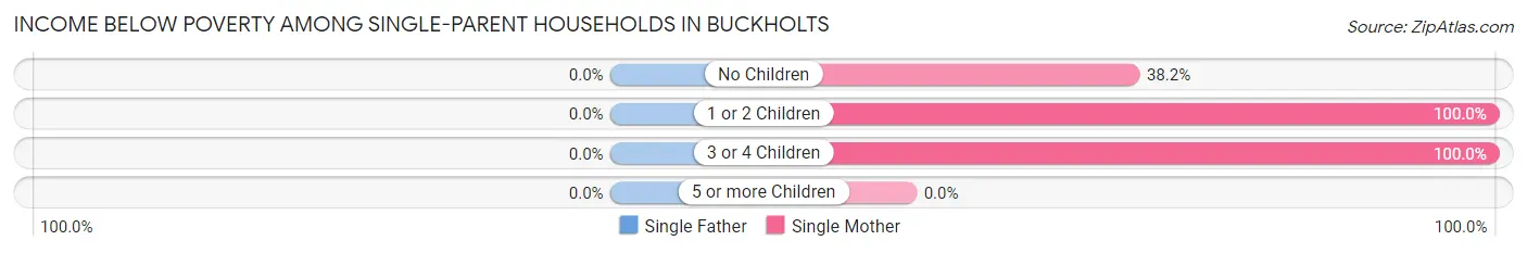 Income Below Poverty Among Single-Parent Households in Buckholts