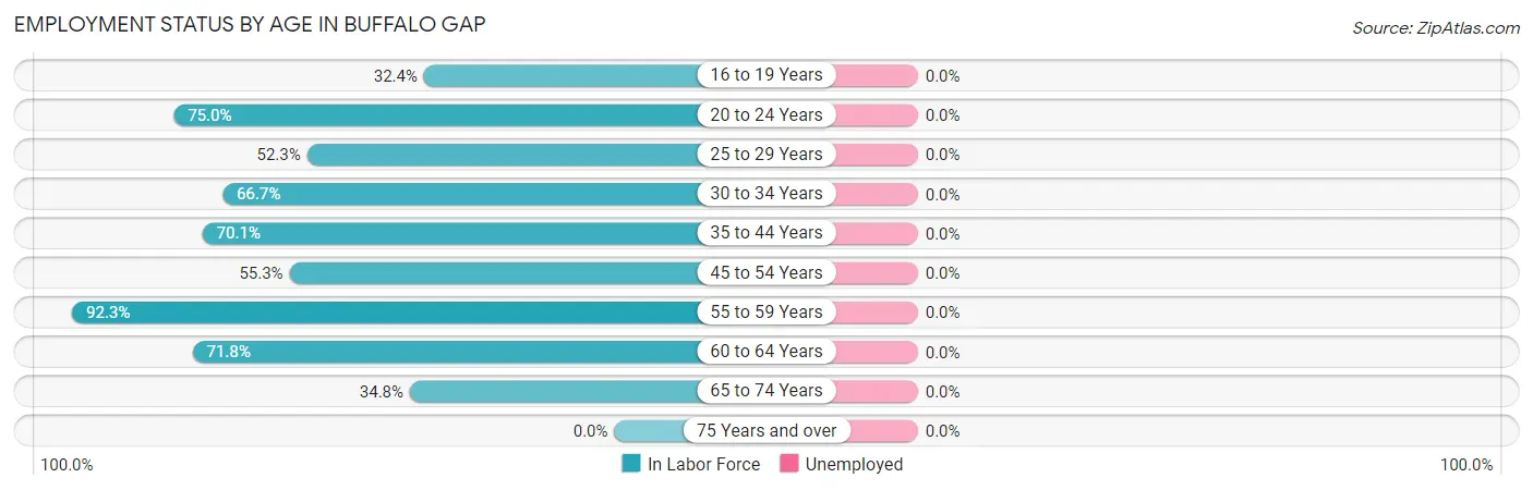 Employment Status by Age in Buffalo Gap