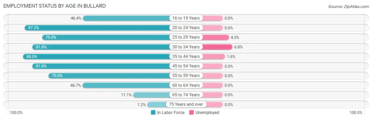 Employment Status by Age in Bullard