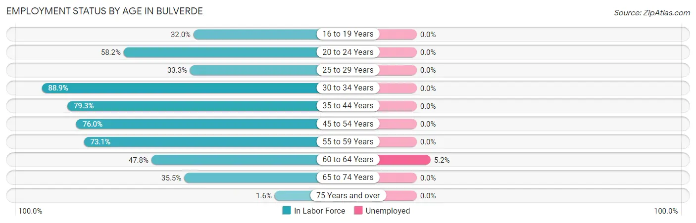 Employment Status by Age in Bulverde