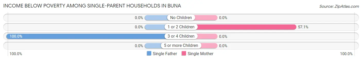 Income Below Poverty Among Single-Parent Households in Buna