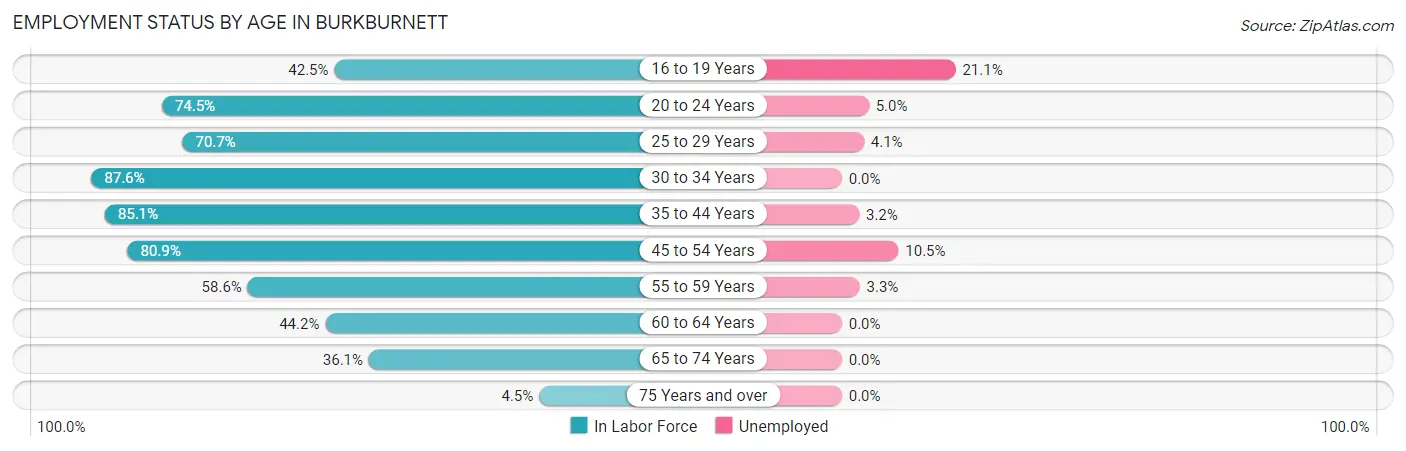 Employment Status by Age in Burkburnett