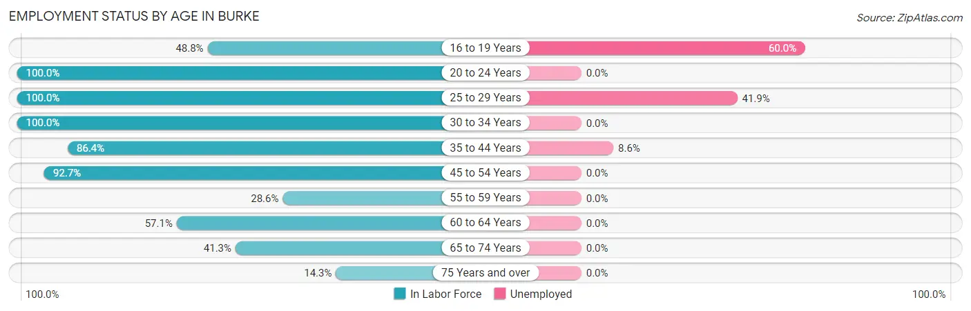 Employment Status by Age in Burke