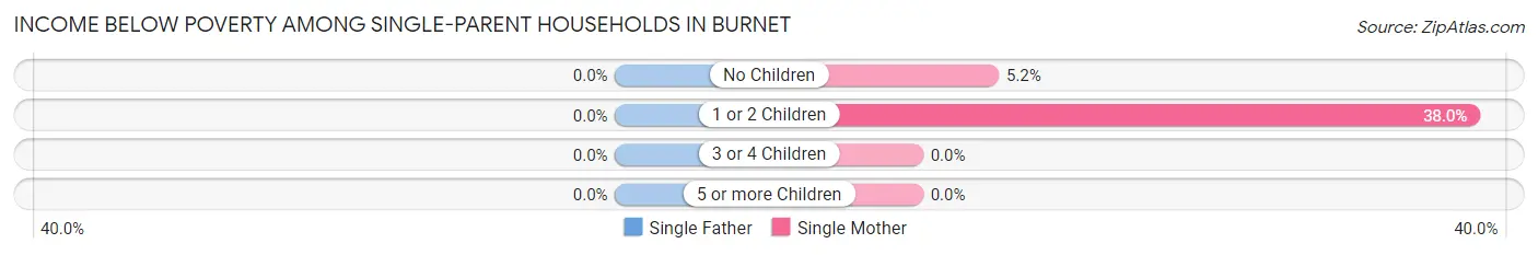 Income Below Poverty Among Single-Parent Households in Burnet
