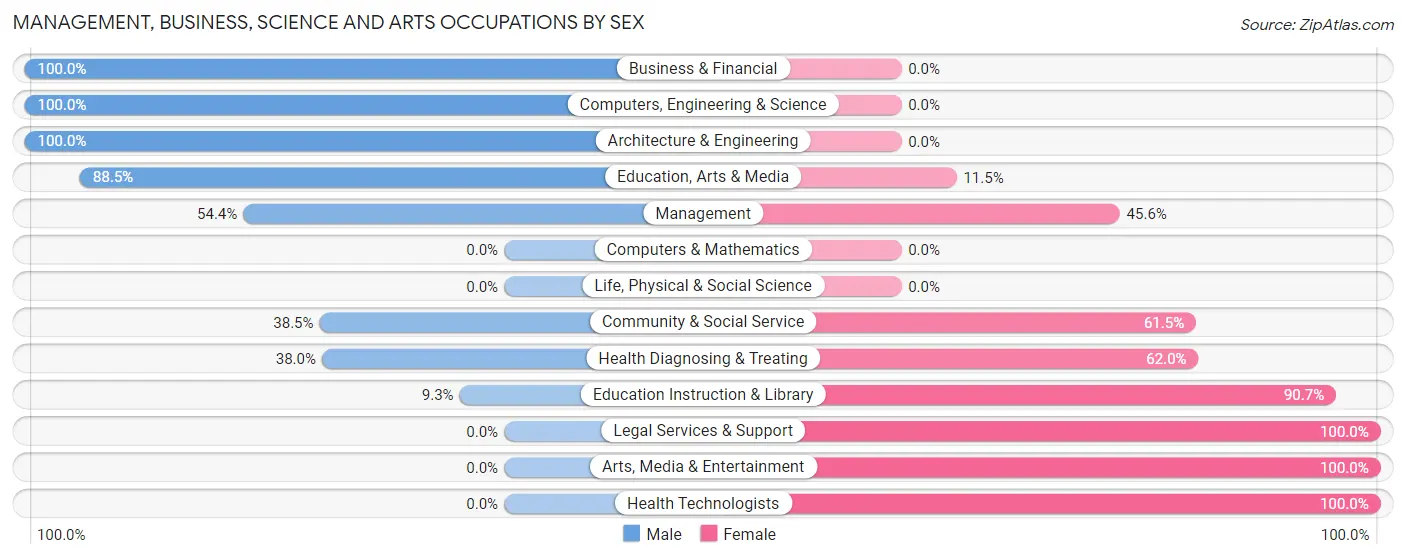 Management, Business, Science and Arts Occupations by Sex in Burnet