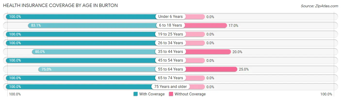 Health Insurance Coverage by Age in Burton