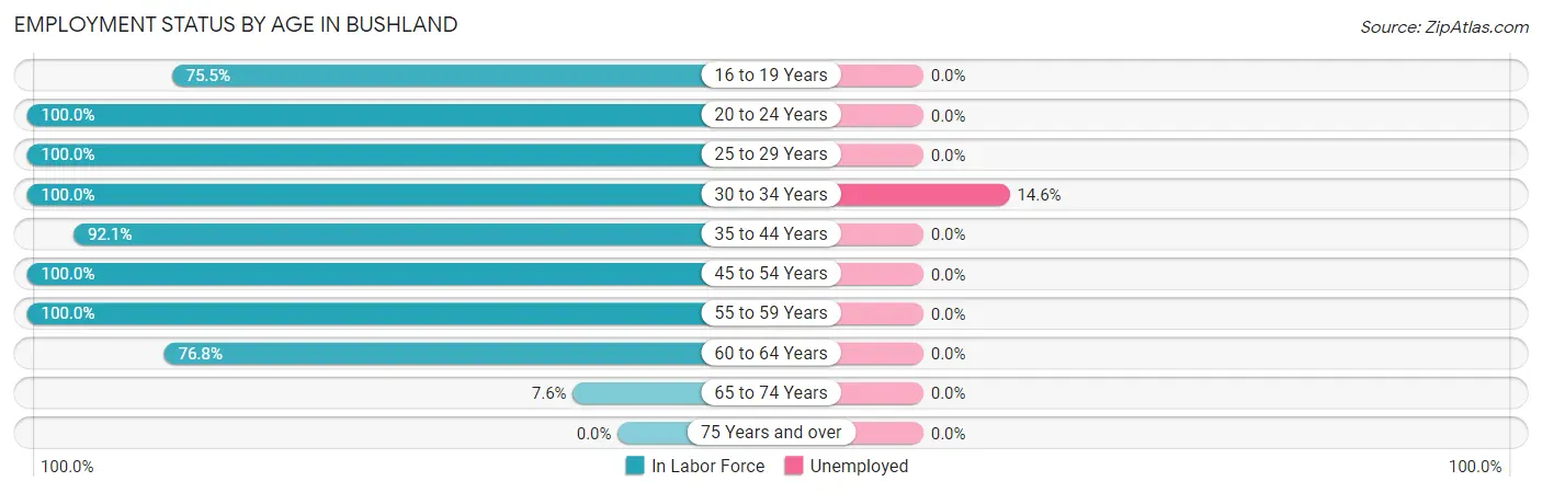 Employment Status by Age in Bushland