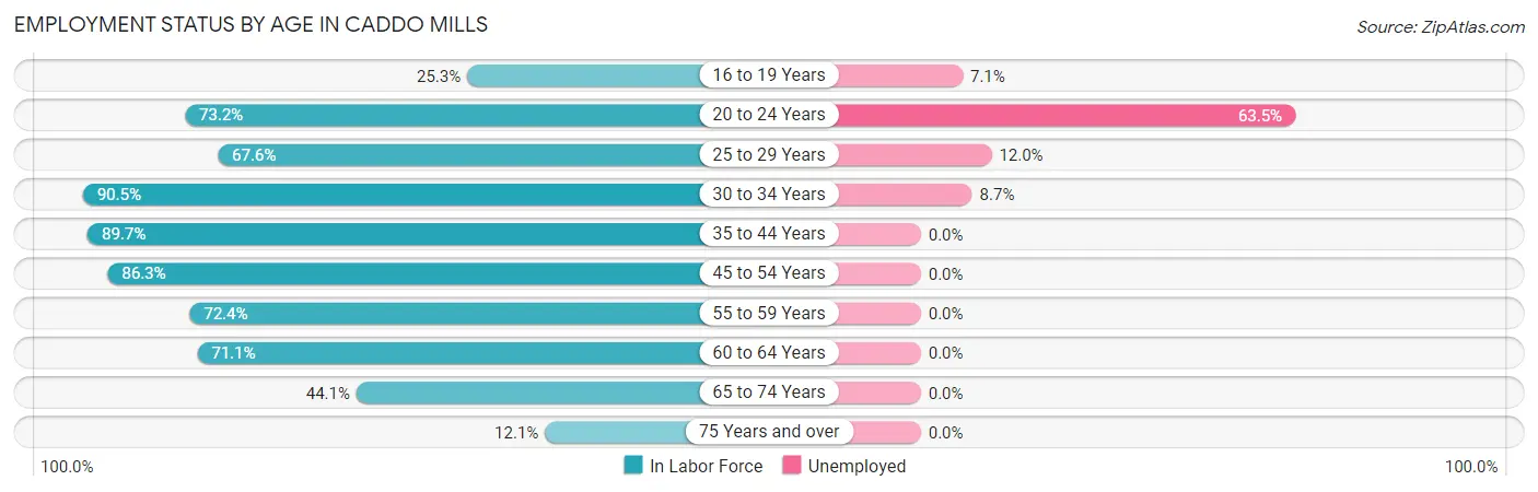 Employment Status by Age in Caddo Mills