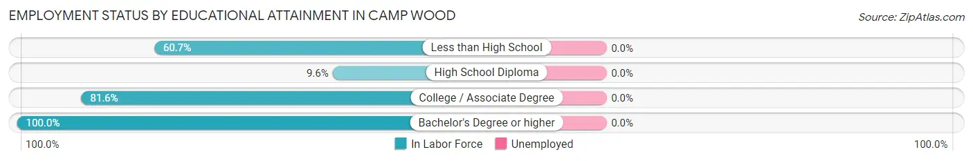 Employment Status by Educational Attainment in Camp Wood