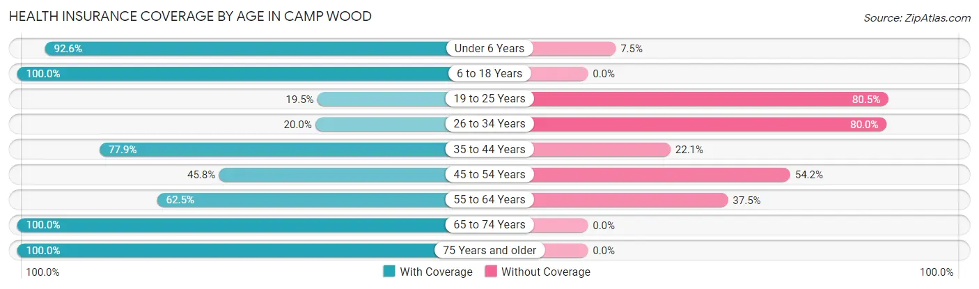 Health Insurance Coverage by Age in Camp Wood