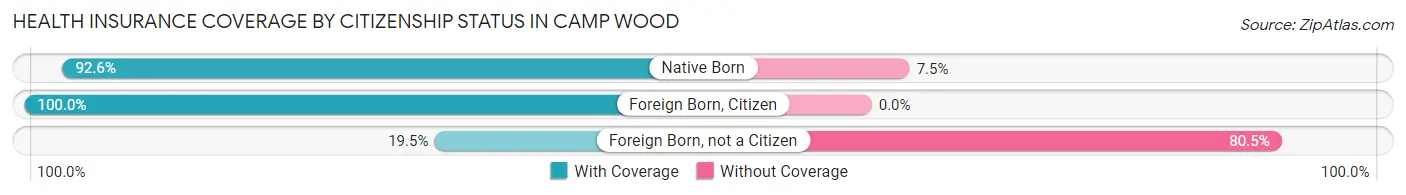 Health Insurance Coverage by Citizenship Status in Camp Wood
