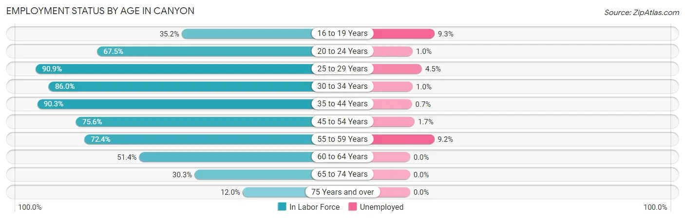 Employment Status by Age in Canyon