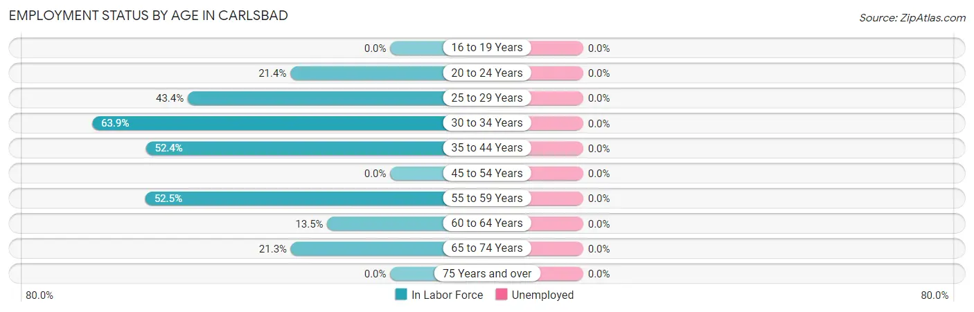 Employment Status by Age in Carlsbad
