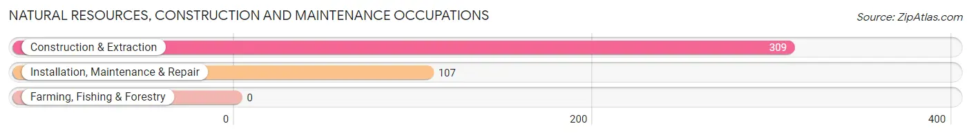 Natural Resources, Construction and Maintenance Occupations in Carthage